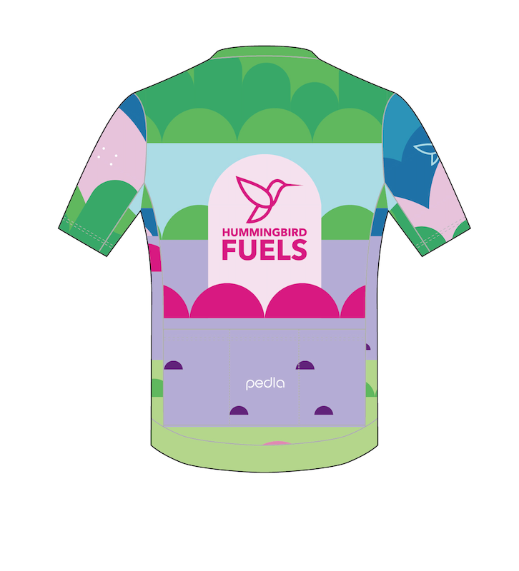 Hummingbird / Men's Classic Jersey